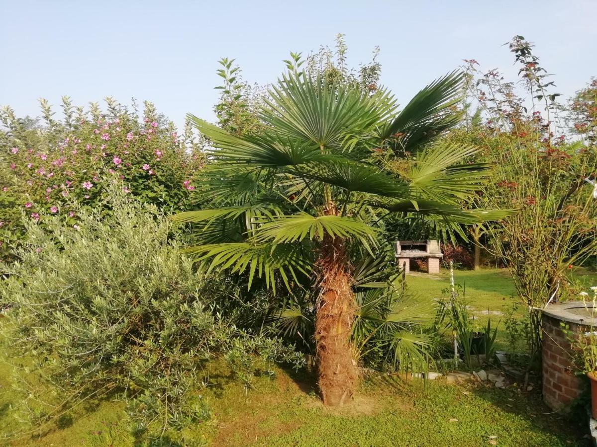 Un Bell Incontro Διαμέρισμα Borgo Ticino Εξωτερικό φωτογραφία